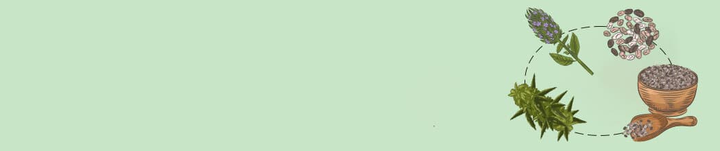 https://greenstoneretail.com/wp-content/uploads/2023/09/Banner-Seeds.jpg
