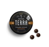 Kiva - Terra Bites - Dark Chocolate Coated Espresso Beans - 100mg