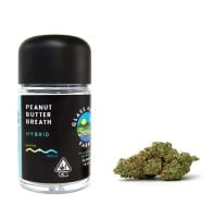 Glass House Farms - Peanut Butter Breath - 3.5 Grams