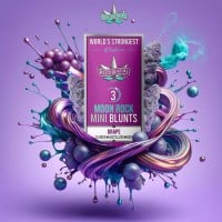 Presidential - Grape - Pee-Wee Infused Mini Blunts - 2.1 Grams