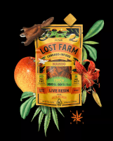 Kiva - Lost Farm Chews - Mango THCV 10:5 - 100mg