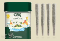 CBX - Tropicana - 2g Pre-Roll Tin