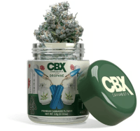 Cannabiotix - Dropane - 3.5 Grams