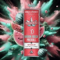 Presidential - Watermelon - Infused Preroll - 1 Gram
