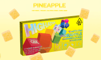 Highatus - Pineapple - (Anytime) - 10pk