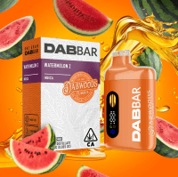 Dabwoods - Watermelon Z - All In One - 1 Gram