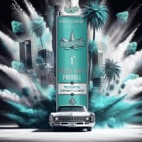 Presidential - Classic - Infused Preroll - 1 Gram