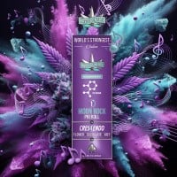 Presidential - Crescendo - Infused Preroll - 1 Gram