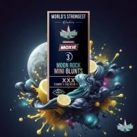 Presidential - XXX - Pee-Wee Infused Mini Blunts - 2.1 Grams