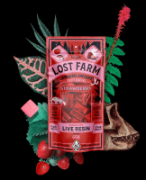 Kiva - Lost Farm Chews - Strawberry - 100mg