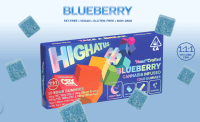 Highatus - Blueberry - (Nighttime) - CBN - CBD 1:1:1 - 10pk