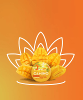 Kiva - Camino - Mango Serenity CBD 1:1 Gummies