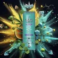 Presidential - XJ-13 - Infused Preroll - 1 Gram