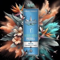 Presidential - Tropical - Infused Preroll - 1 Gram