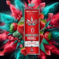 Presidential - Strawberry - Infused Preroll - 1 Gram