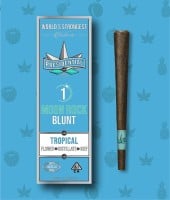 Presidential - Tropical - Infused Blunt - 1.5 Grams
