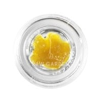 Raw Garden - Sherbert Glue - Live Resin - 1 Gram