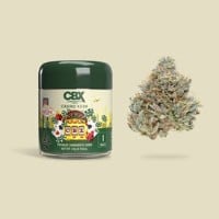 Cannabiotix - Casino Kush - 3.5 Grams