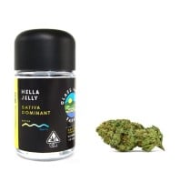 Glass House Farms - Hella Jelly - 3.5 Grams