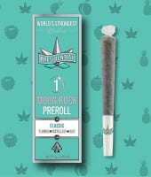 Presidential - Classic - Infused Preroll - 1 Gram