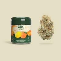 Cannabiotix - L'Orange - 3.5 Grams