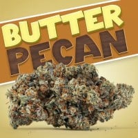 High Grade Farms - Glitter Bomb - 3.5 Grams