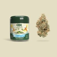 Cannabiotix - Tropicanna - 3.5 Grams