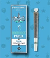 Presidential - Tropical - Infused Preroll - 1 Gram