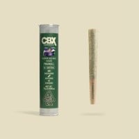 Cannabiotix - Gluetopia - .75 Gram