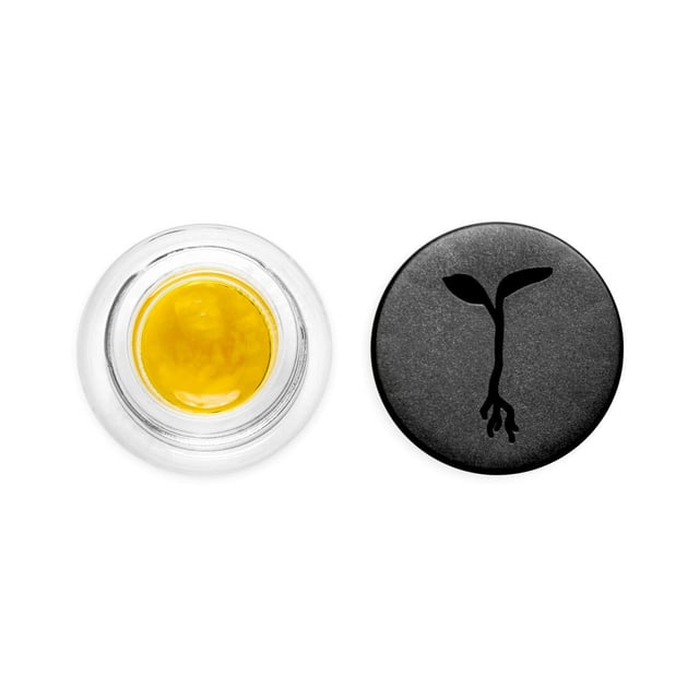 Raw Garden - Carbon Fiber - Live Resin - 1 Gram