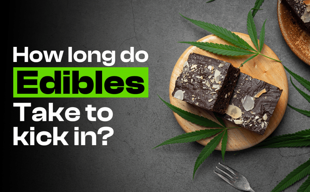 How Long Do Edibles Take to Hit on a Full or Empty Stomach?