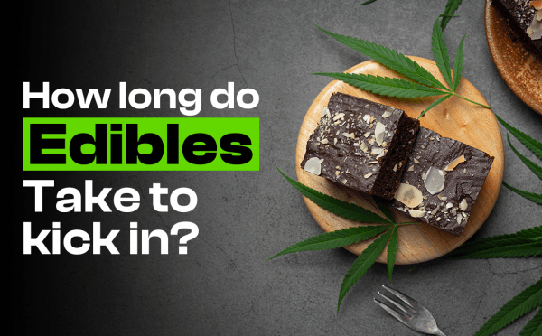 How Long Do Edibles Take to Hit on a Full or Empty Stomach? - Do Edibles Hit Harder On An Empty Stomach