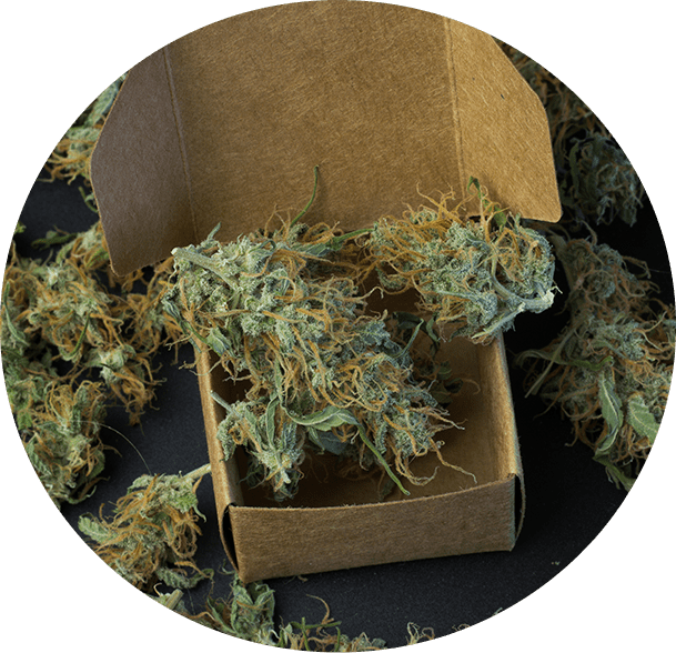 Same-Day-Weed-Delivery-in-Mojave