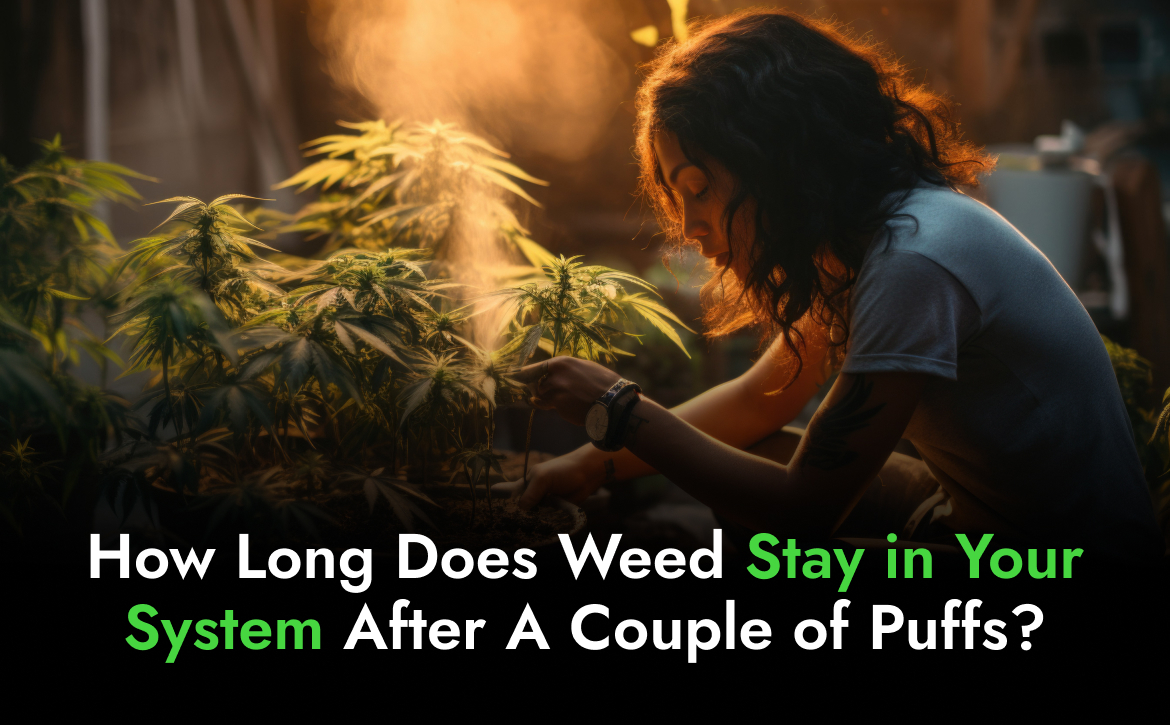 How long weed stay in your system