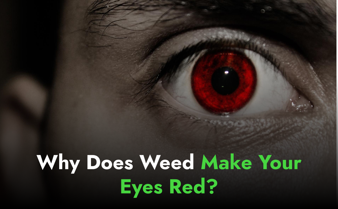 Why Does weed make your eyes red
