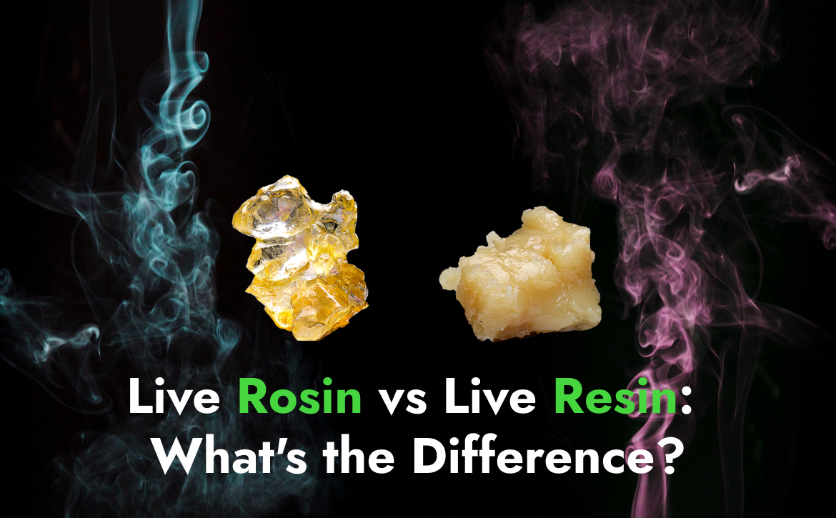 Live-Rosin-vs-Live-Resin-Whats-the-Difference