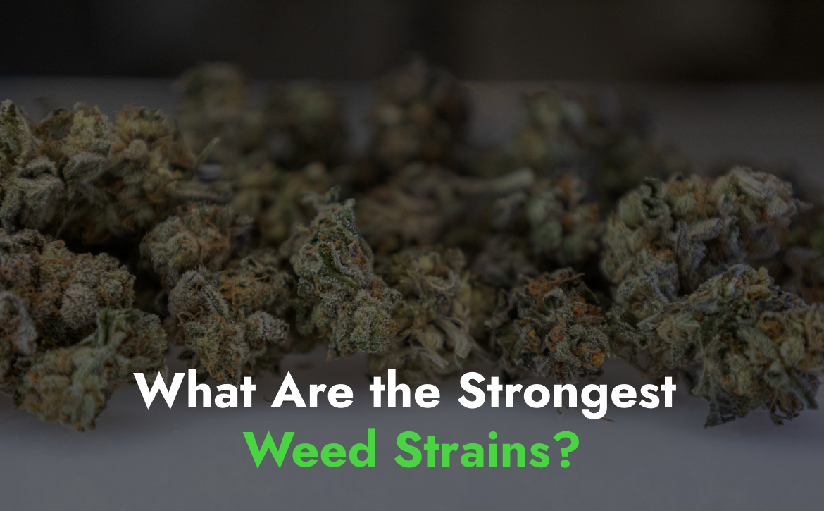 What Are the Strongest Weed Strains