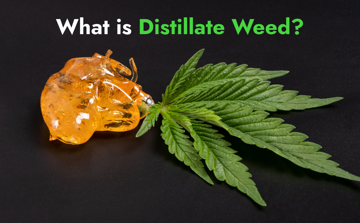 What is Distillate Weed