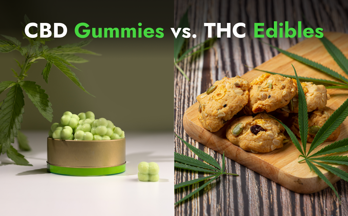 CBD Gummies vs. THC Edibles