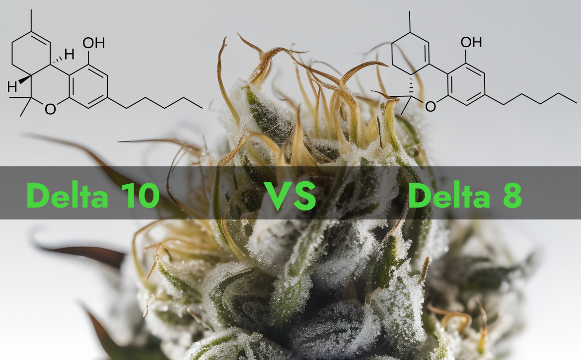 Delta 10 vs Delta 8: Key Differences and Uses