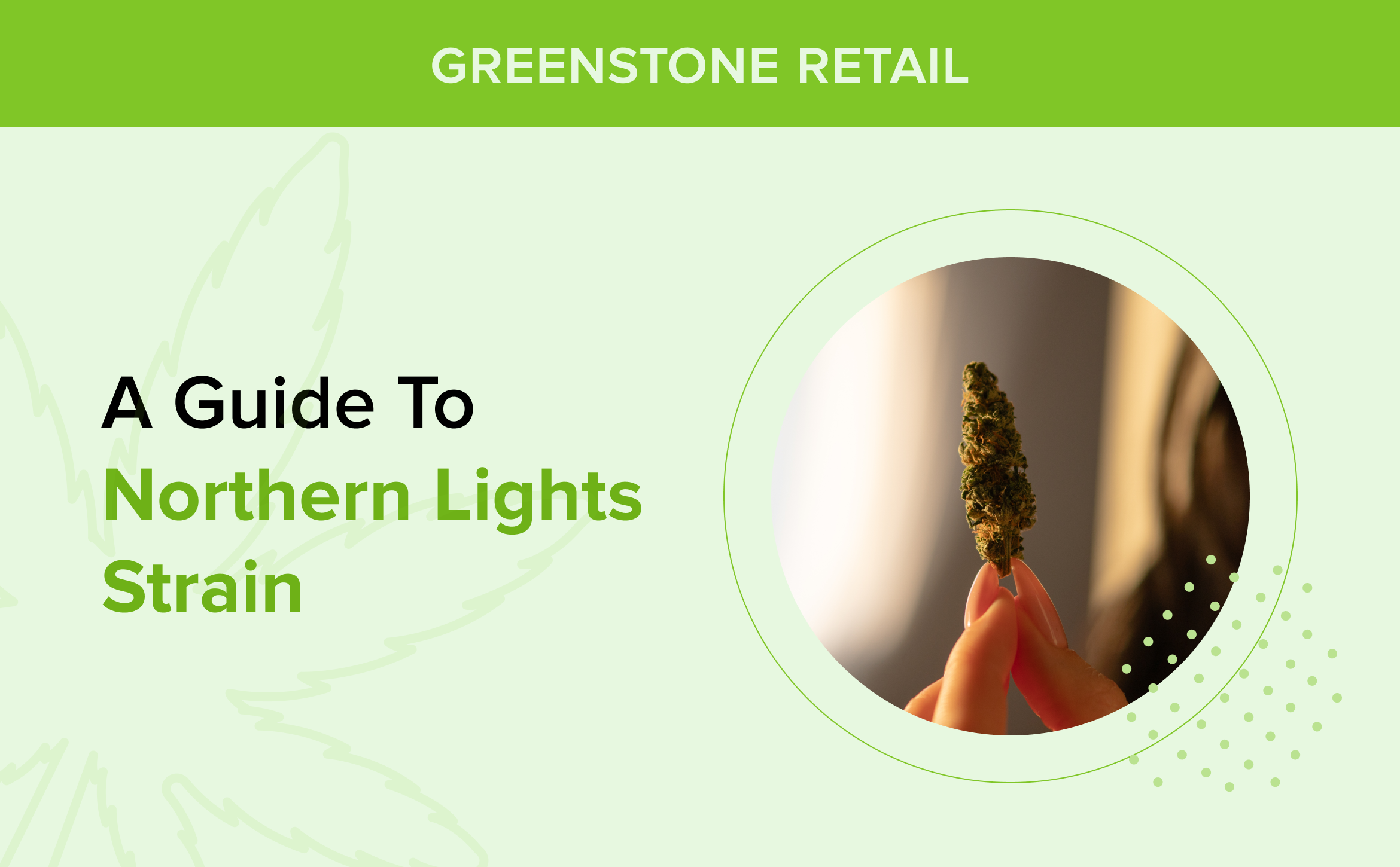 A Guide toÿ Northern Lights Strain