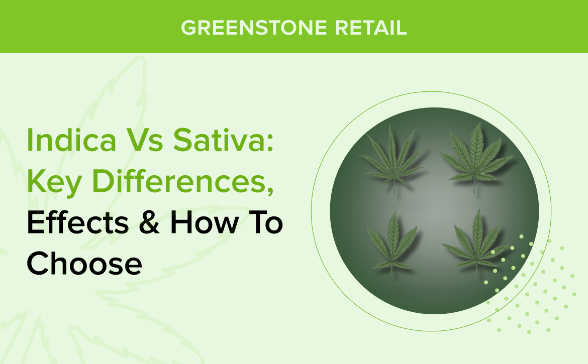 Indica vs Sativa_ Key Differences, Effects & How to Choose
