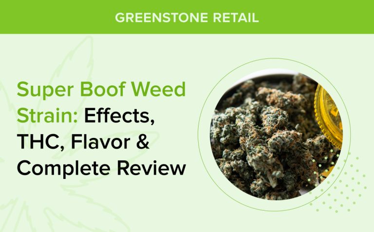 Super Boof Weed Strain: Effects, THC, Flavor, Terpenes & Complete Review