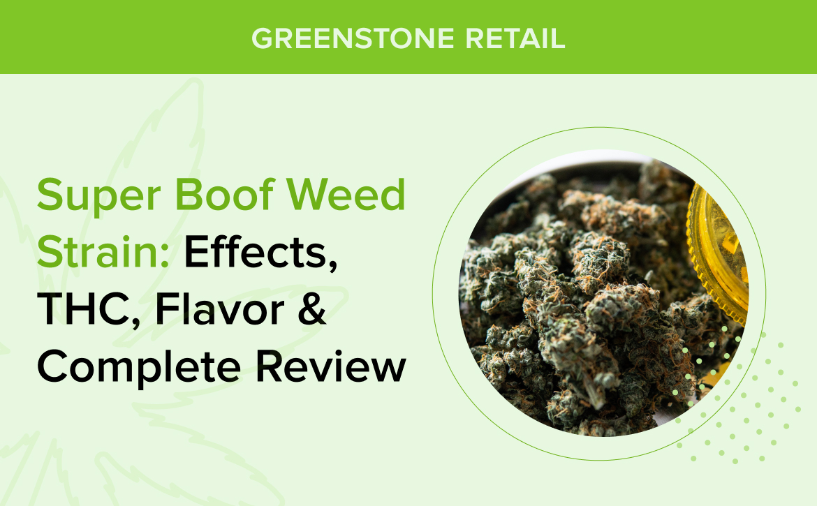 Super Boof Weed Strain: Effects, THC, Flavor, Terpenes & Complete Review
