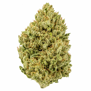 ACDC Marijuana Strain 