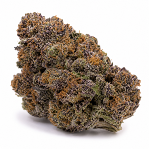 Mendo Purps strain