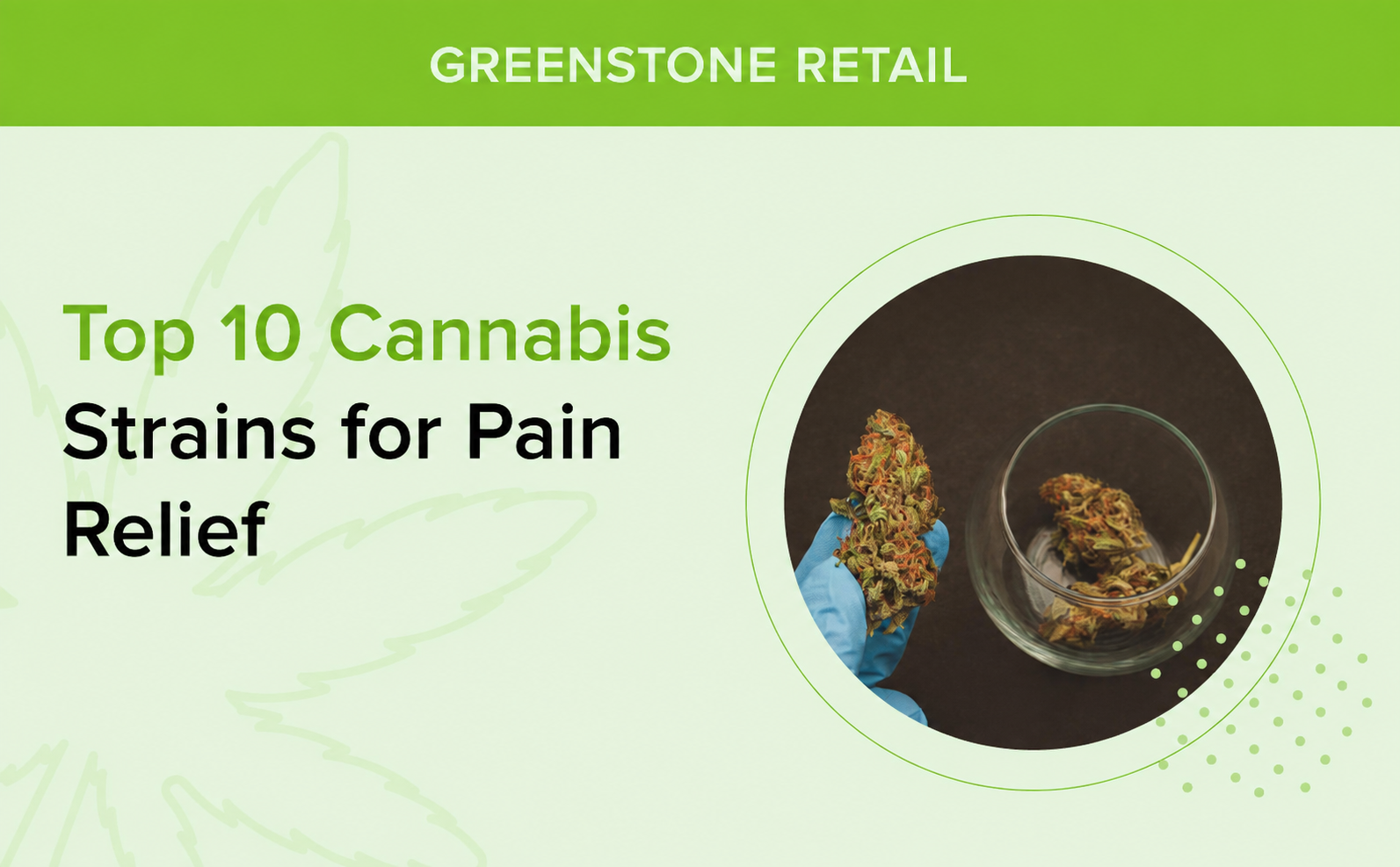 Top 10 Cannabis Strains for Pain Relief