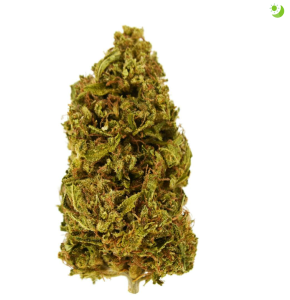 Smoakland Larry Bird 3.5G at GreenStone.